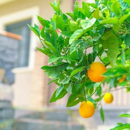 Bedda Mia Etna House Trecastagni