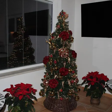 Bedda Mia Etna House Panzió