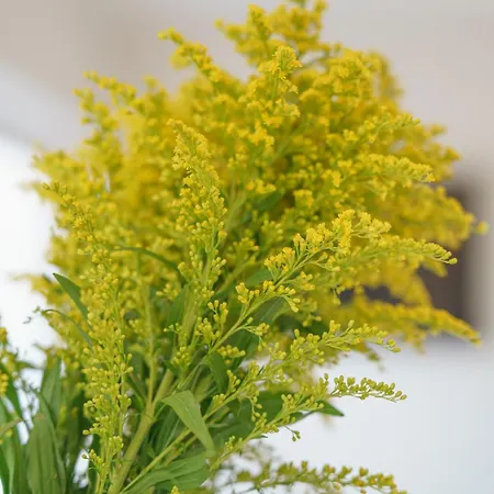 Panzió Bedda Mia Etna House Trecastagni